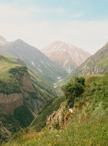 lovely grass-covered mountains scene