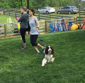 Winston Woolf Churchill with Casey at an agility event